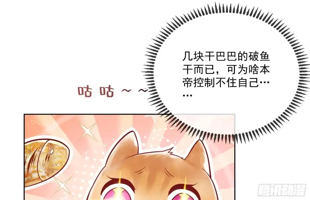 《神级契约：开局一只猫》第2话 萌新铲屎官 第57页