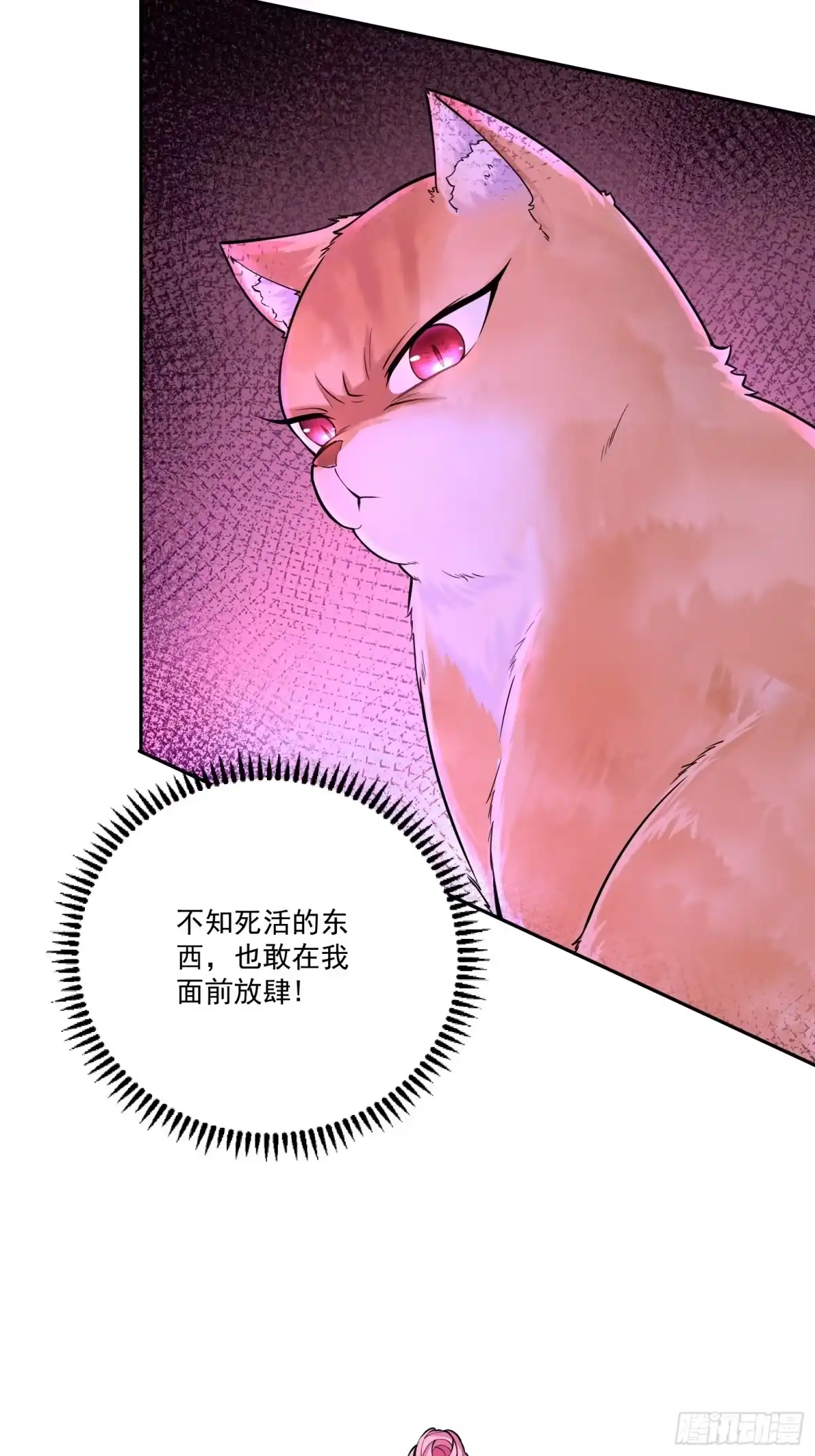 《神级契约：开局一只猫》第三话 曾经的”白月光“ 第8页