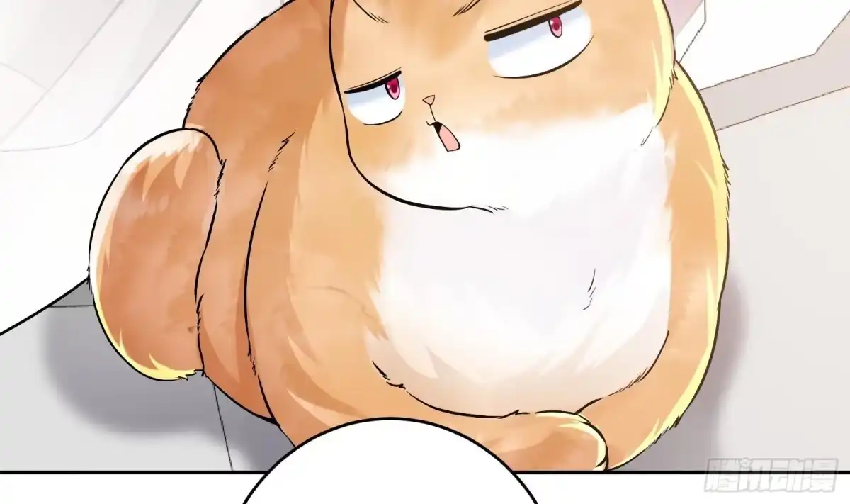 《神级契约：开局一只猫》第4话 兮潞 第25页
