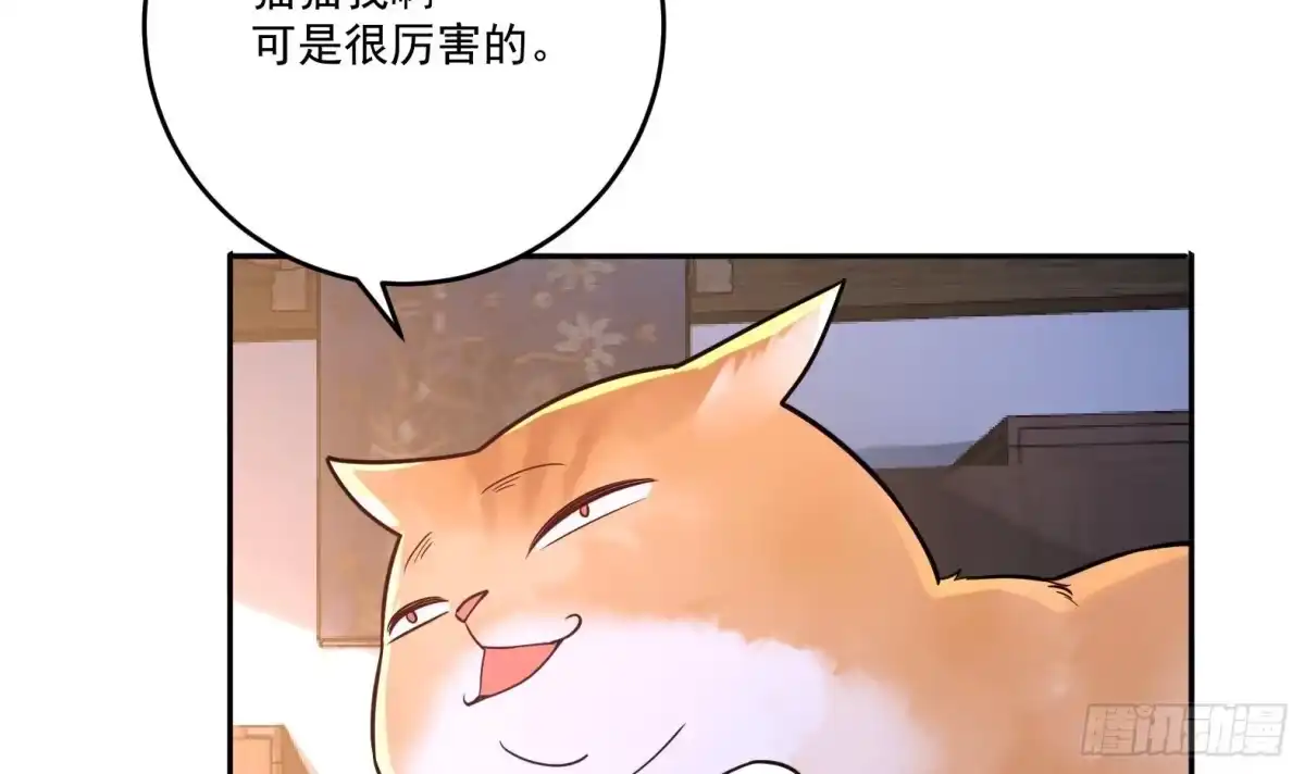 《神级契约：开局一只猫》第4话 兮潞 第51页