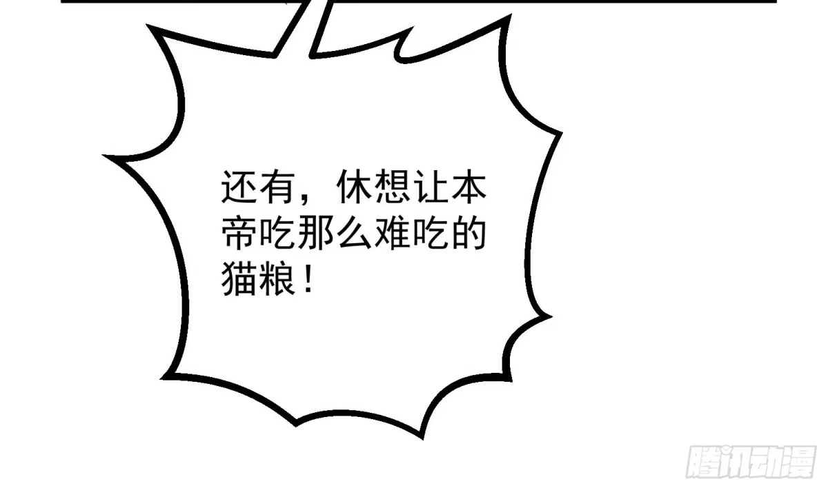 《神级契约：开局一只猫》第4话 兮潞 第92页