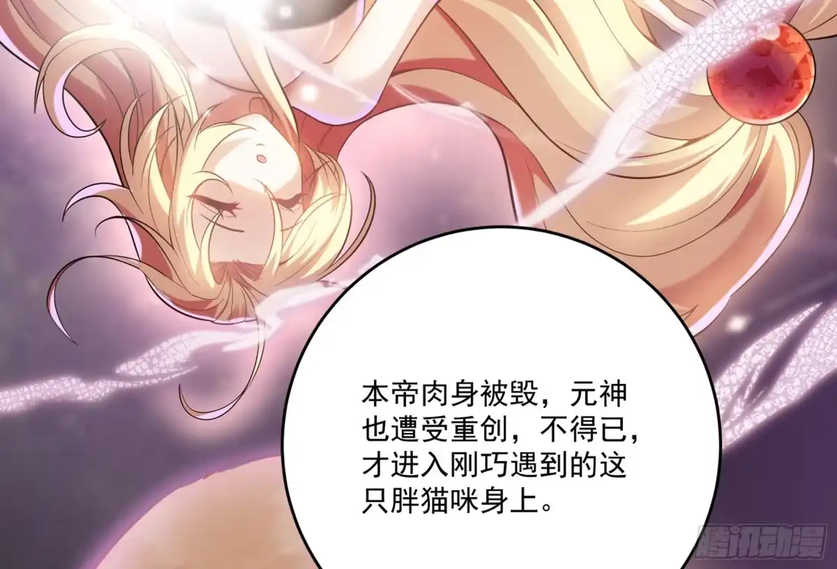 《神级契约：开局一只猫》第4话 兮潞 第72页