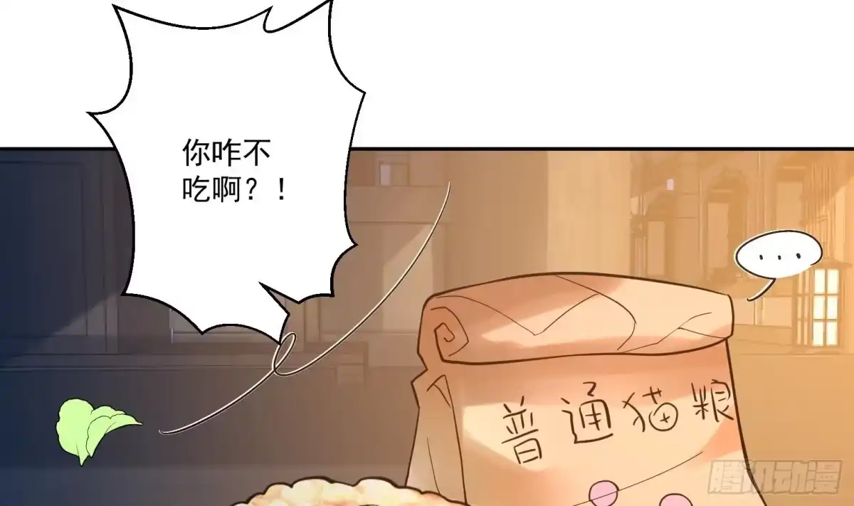 《神级契约：开局一只猫》第4话 兮潞 第37页