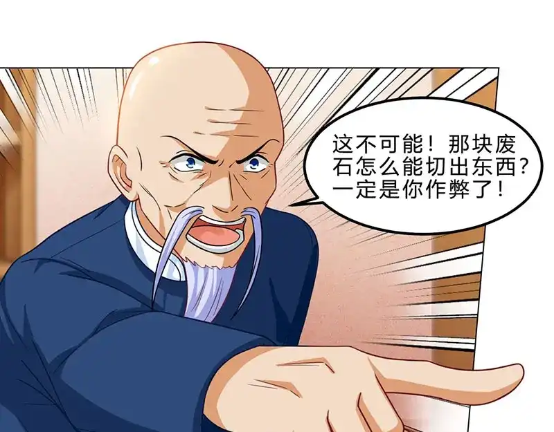 神级透视 第17话 “废石”出绿了！ 第26页