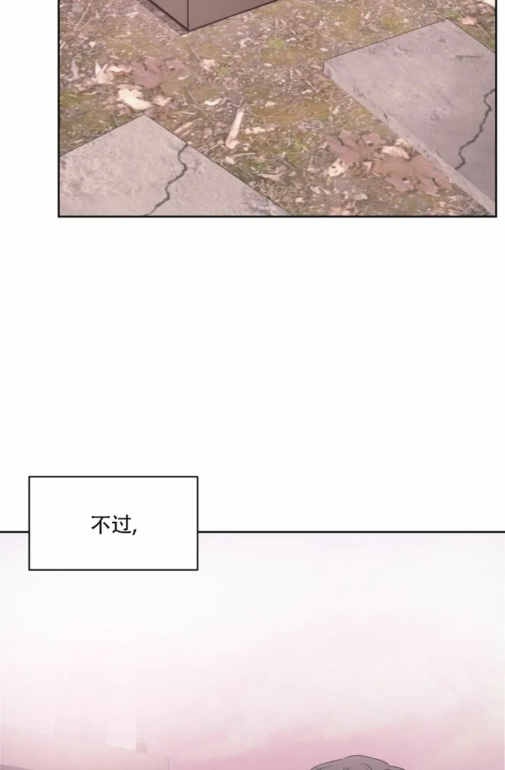 《神秘诅咒》第2话 第13页