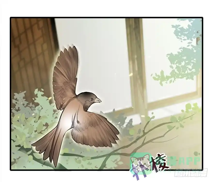 《神女大人套路多》23.消息 第81页