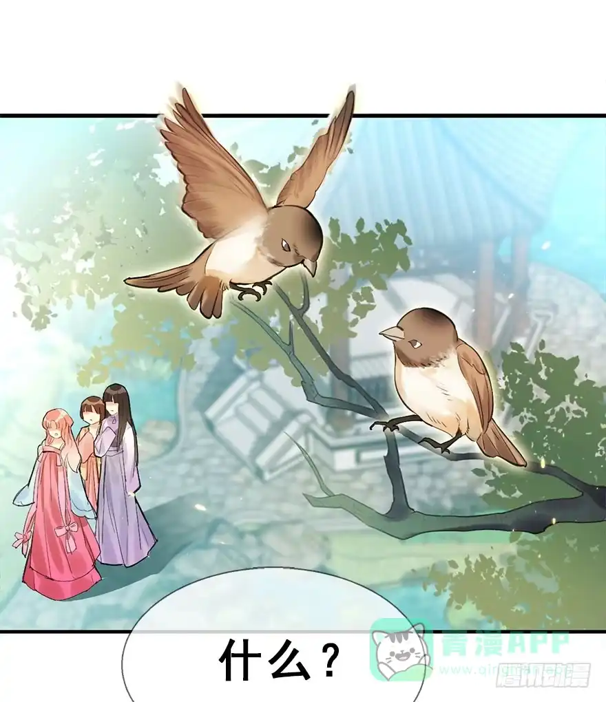 《神女大人套路多》23.消息 第86页