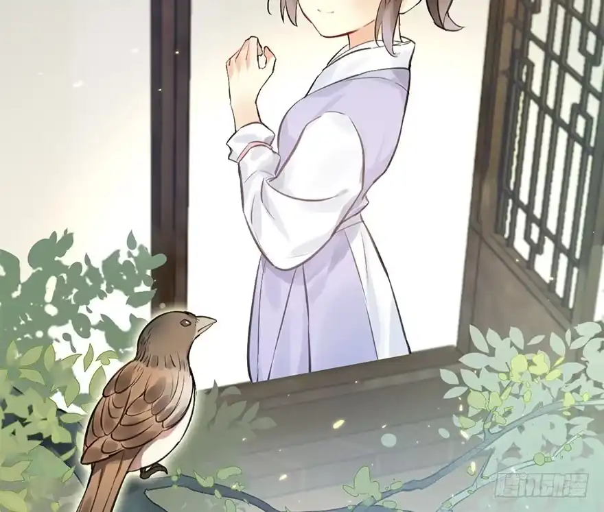 《神女大人套路多》23.消息 第78页