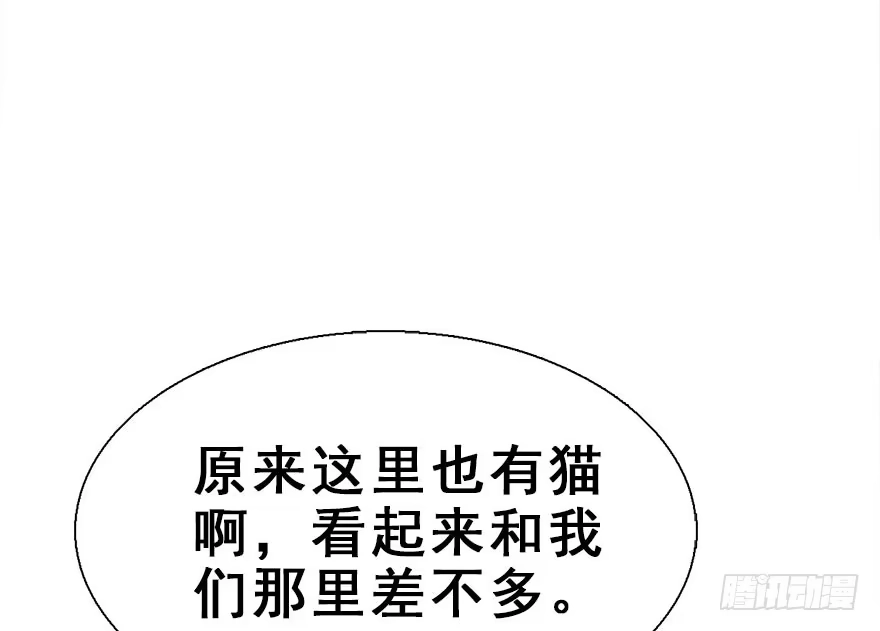 《神女大人套路多》26.玩具 第65页