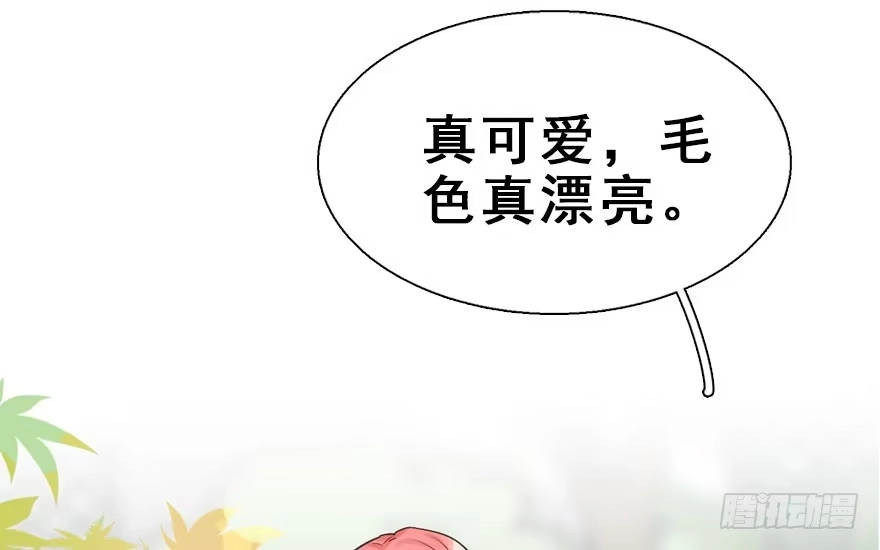 《神女大人套路多》26.玩具 第58页