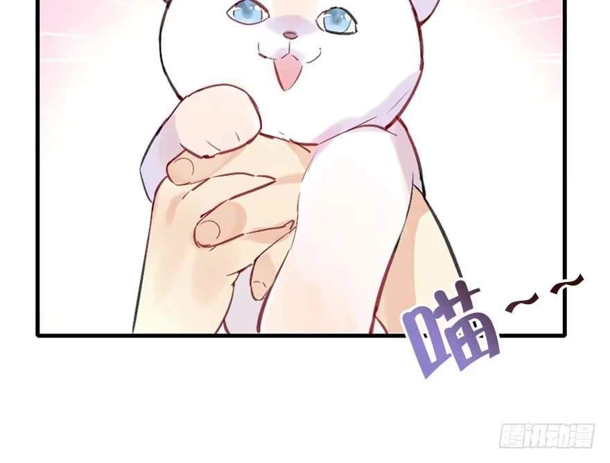 《神女大人套路多》26.玩具 第69页