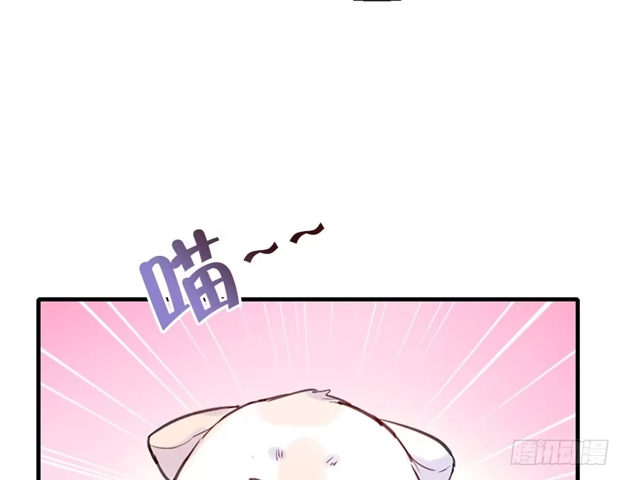《神女大人套路多》26.玩具 第68页