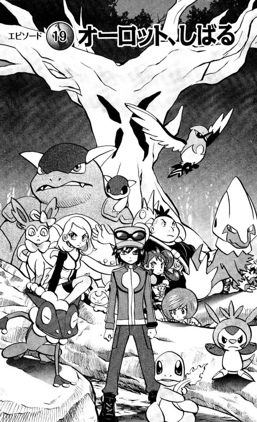 神奇宝贝特別篇 - 外传：第30话 XY篇19 - 第1张图