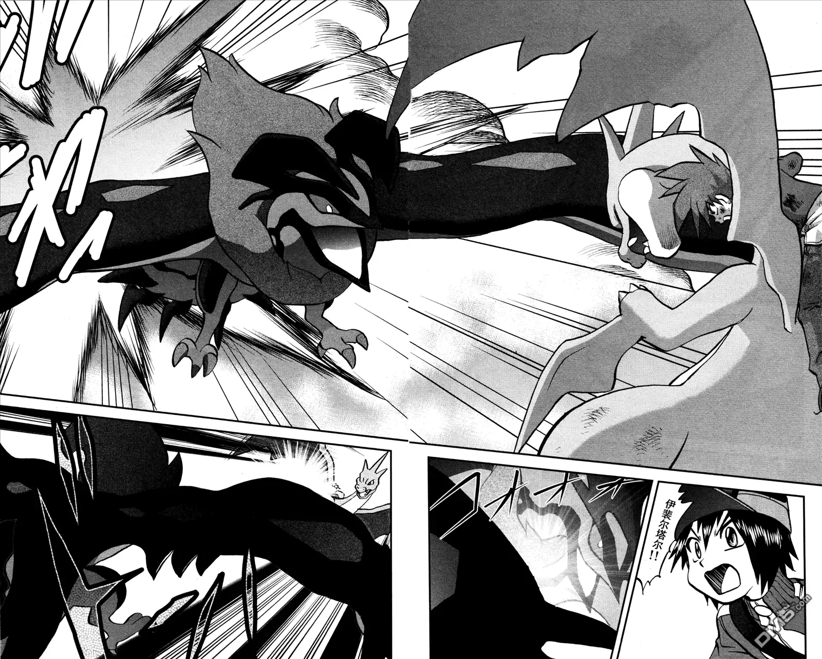 神奇宝贝特別篇 - XY篇34 - 第19张图