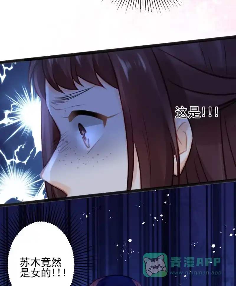 《神探双骄》苏木竟然是女子？！ 第31页