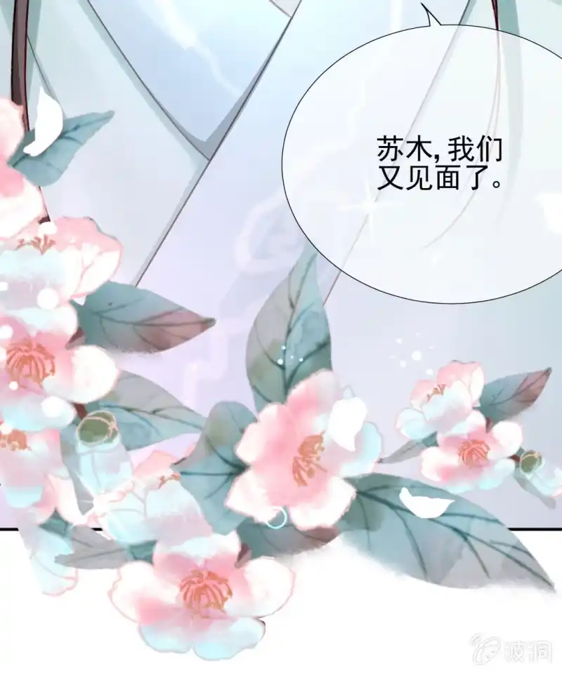 《神探双骄》糟了！苏木偷溜了！ 第25页