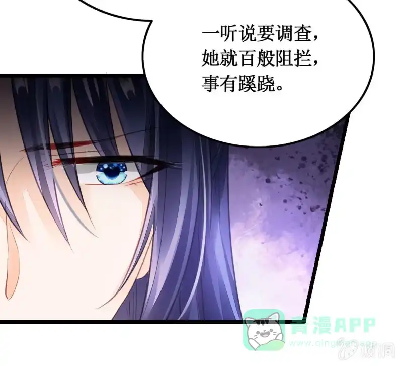 《神探双骄》苏木推案，有冤必伸 第21页