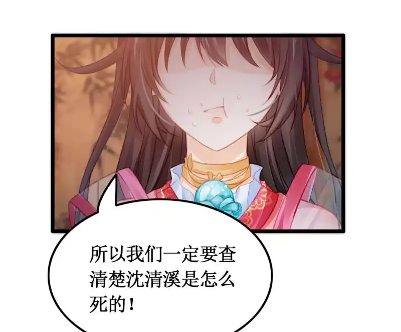 《神探双骄》苏木推案，有冤必伸 第40页