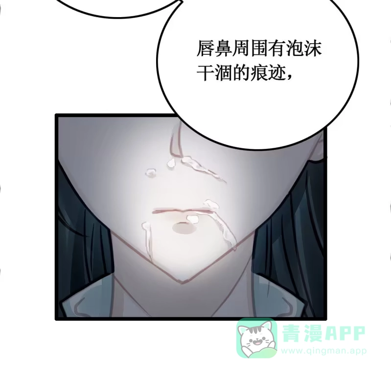 《神探双骄》苏木推案，有冤必伸 第46页