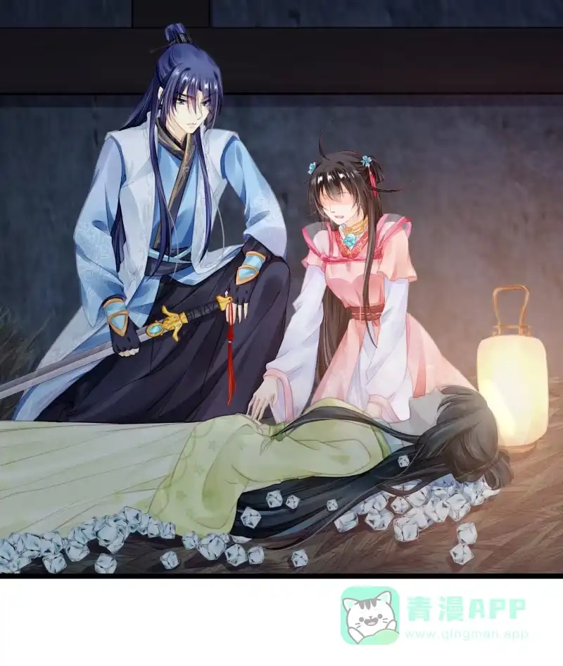 《神探双骄》苏木推案，有冤必伸 第51页