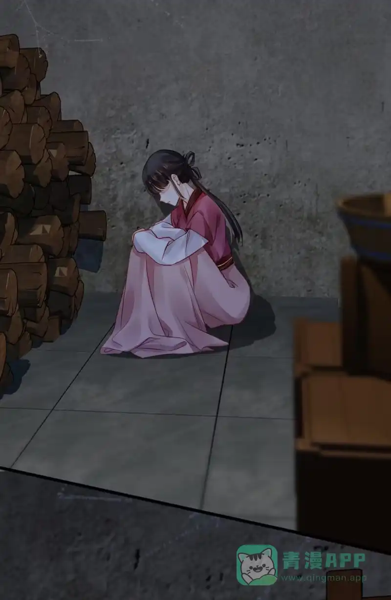 《神探双骄》珠钗的下落 第26页