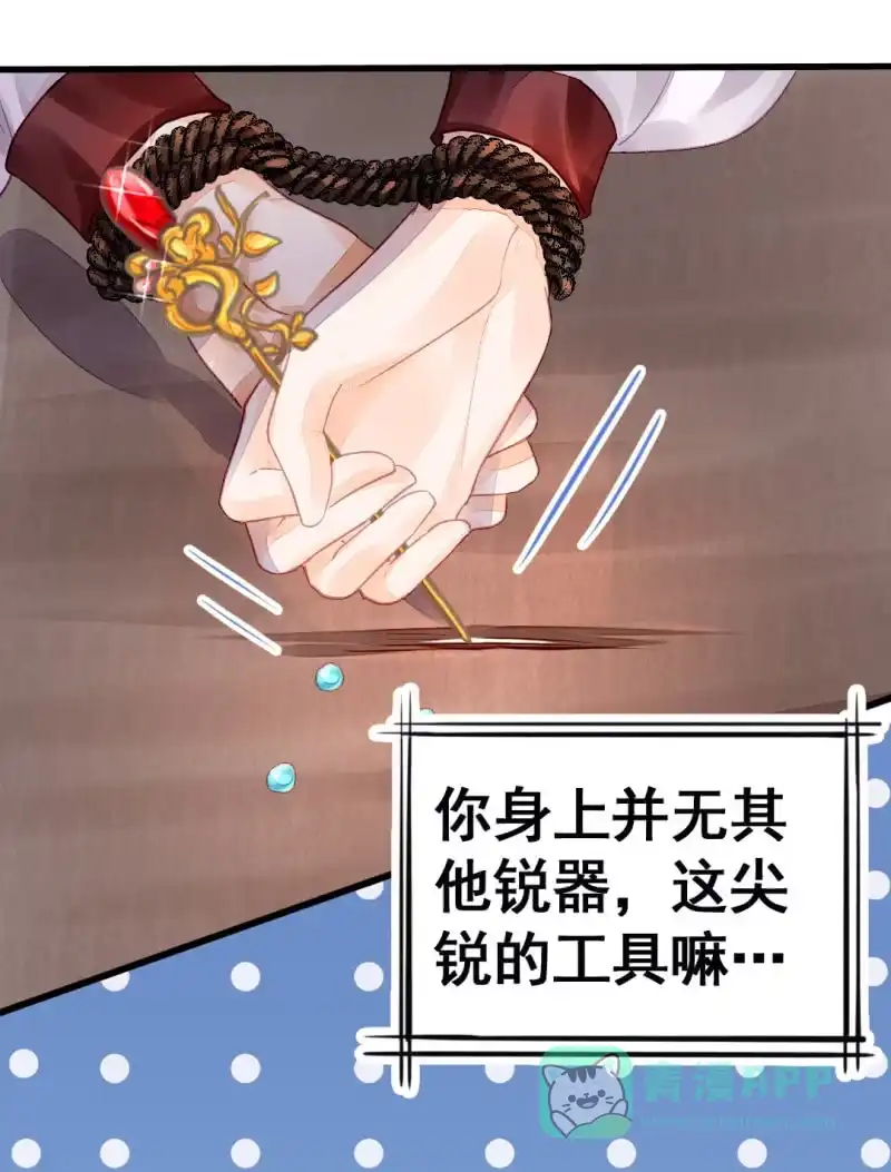 《神探双骄》珠钗的下落 第71页