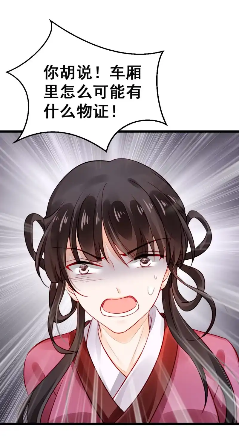 《神探双骄》珠钗的下落 第48页