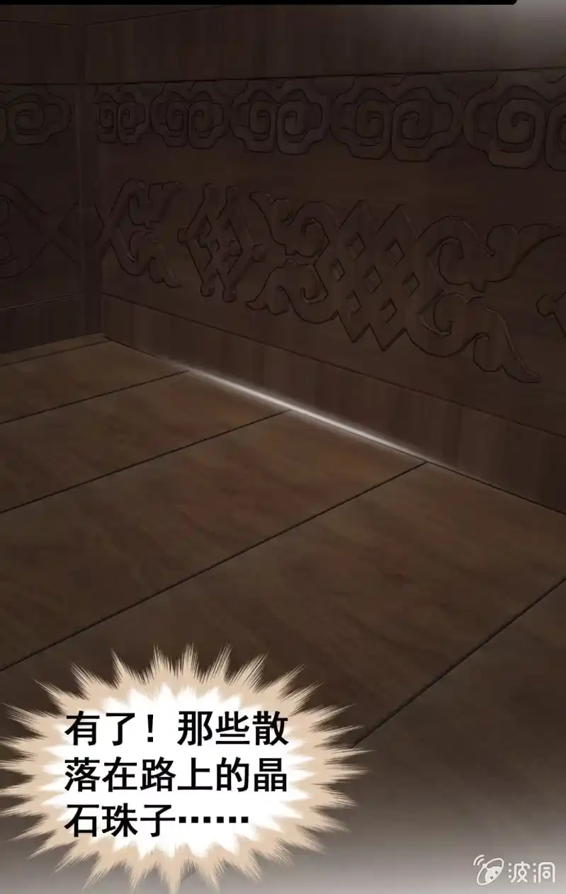 《神探双骄》珠钗的下落 第57页