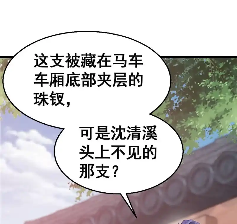《神探双骄》珠钗的下落 第64页