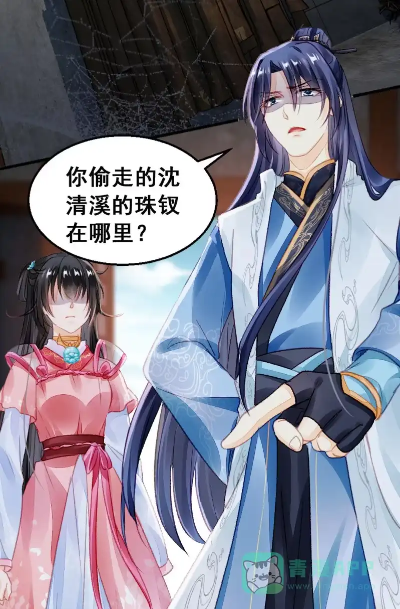 《神探双骄》珠钗的下落 第31页
