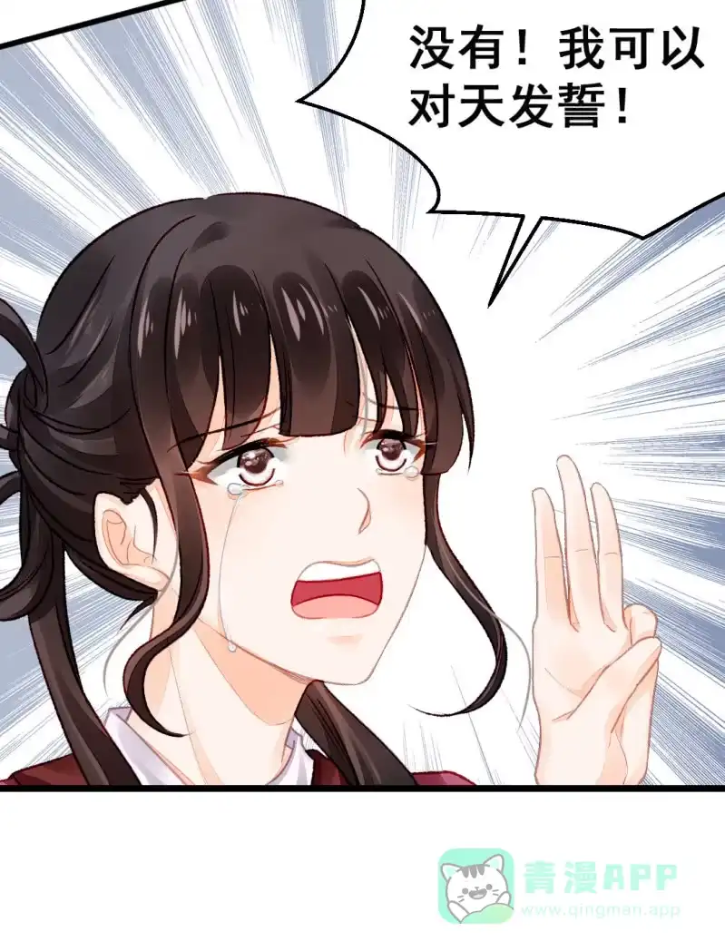 《神探双骄》珠钗的下落 第36页