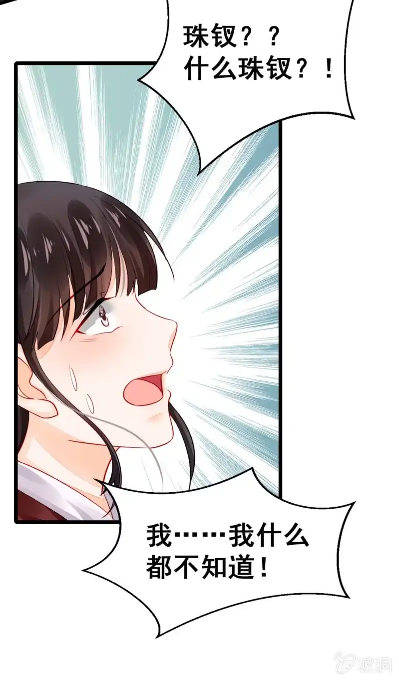 《神探双骄》珠钗的下落 第33页
