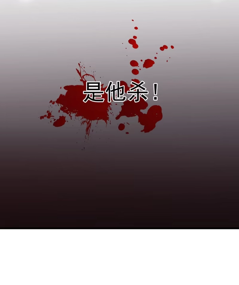 《神探双骄》自杀还是他杀？ 第42页