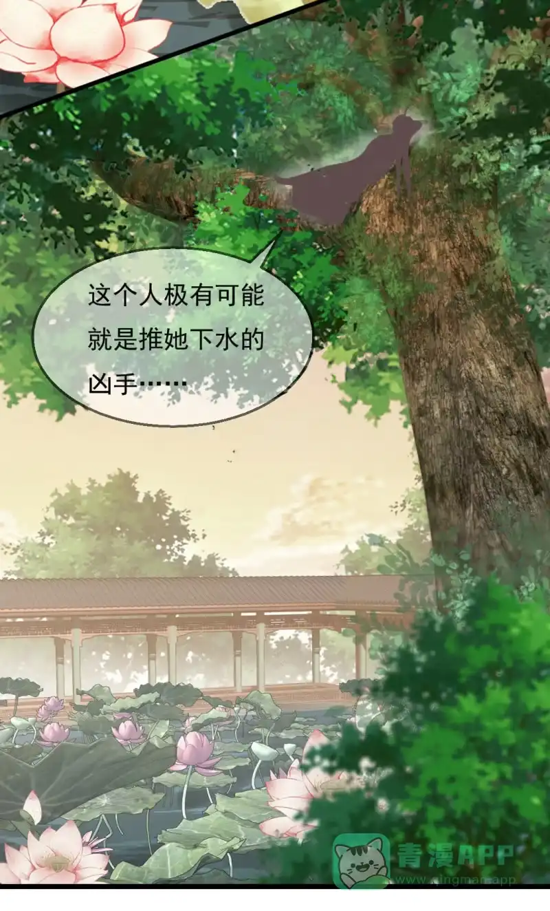 《神探双骄》自杀还是他杀？ 第46页