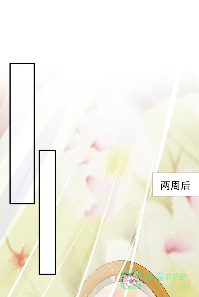 《神探双骄》往事已如烟 第36页