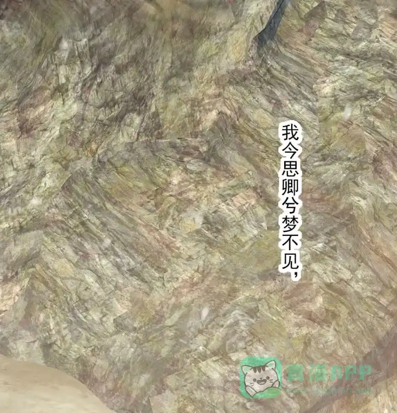 《神探双骄》诡异的金铃 第6页