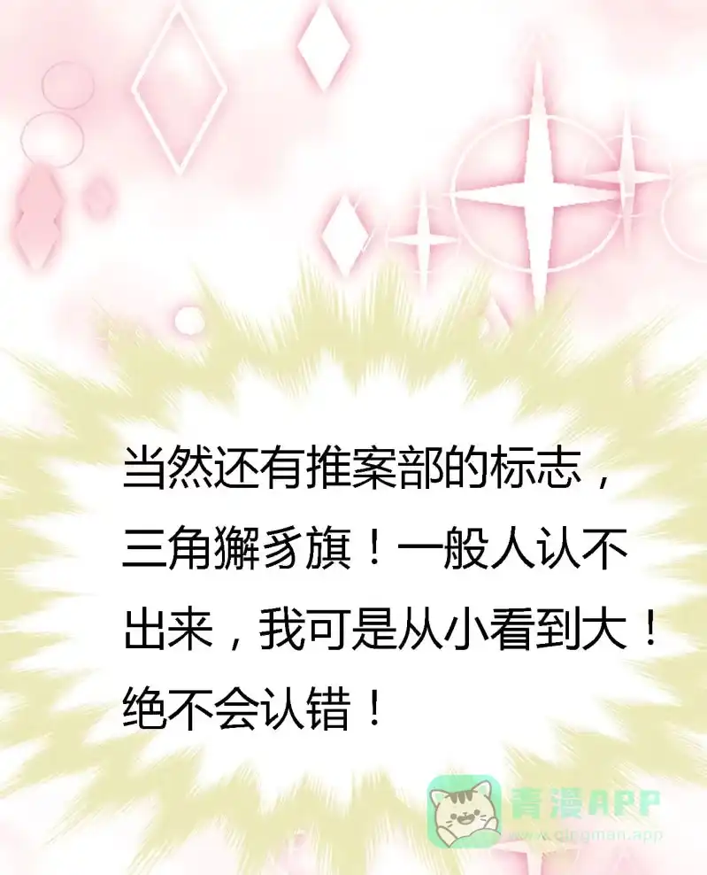 《神探双骄》你究竟是谁？ 第71页
