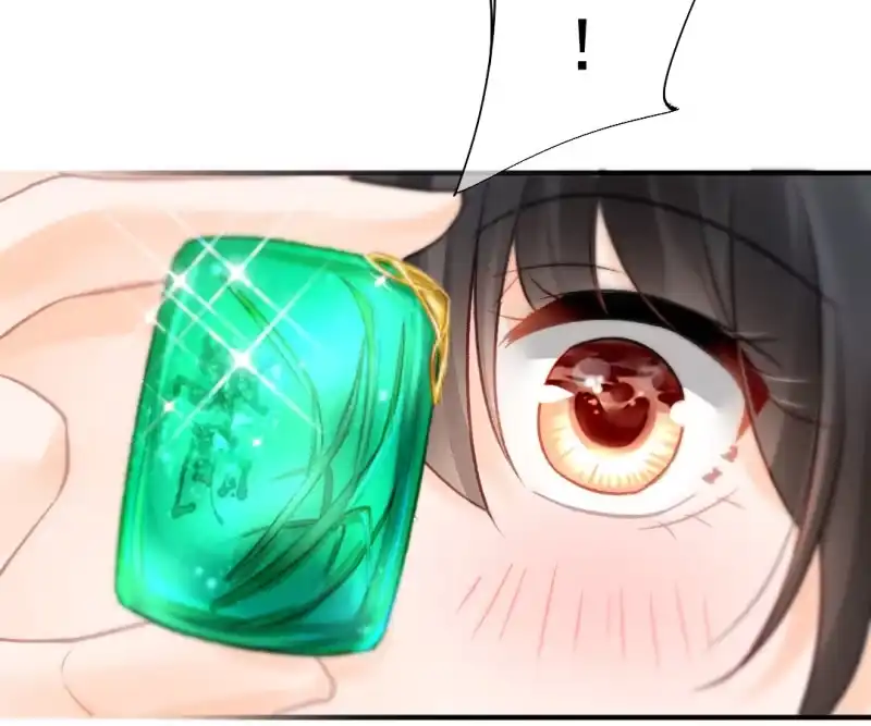 《神探双骄》孔秀儿的玉牌 第7页