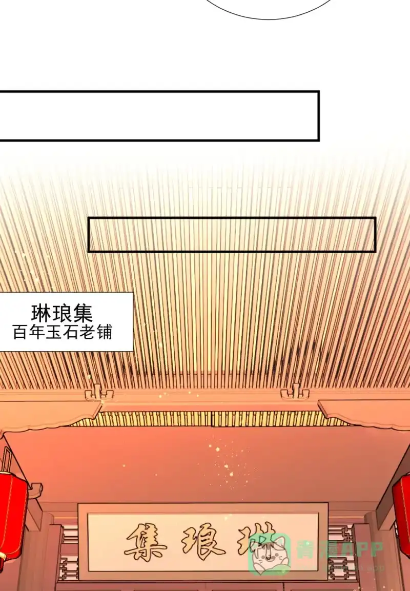 《神探双骄》孔秀儿的玉牌 第21页