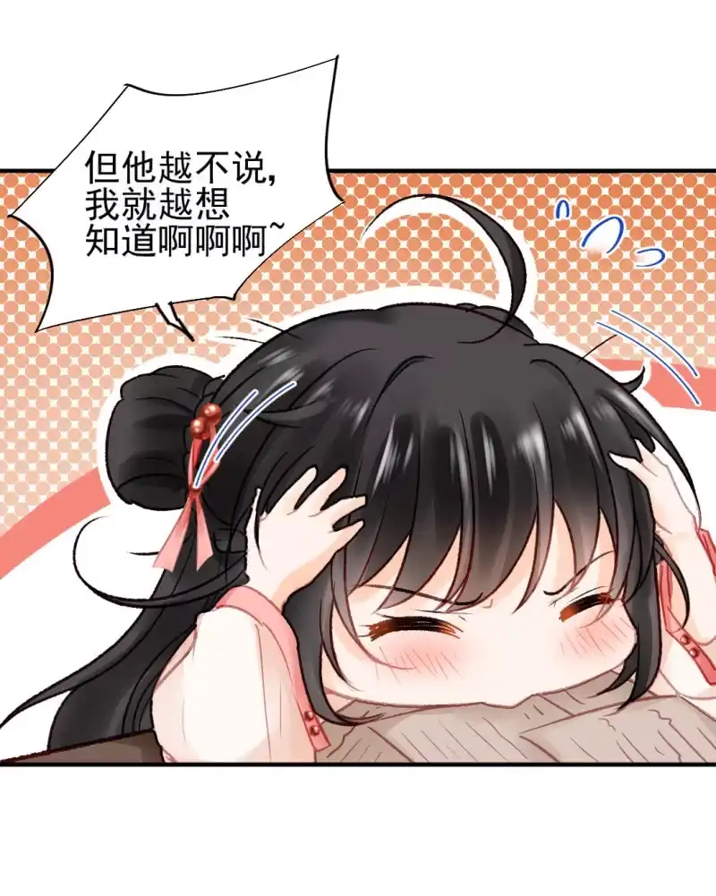 《神探双骄》章照的顶级机密 第28页