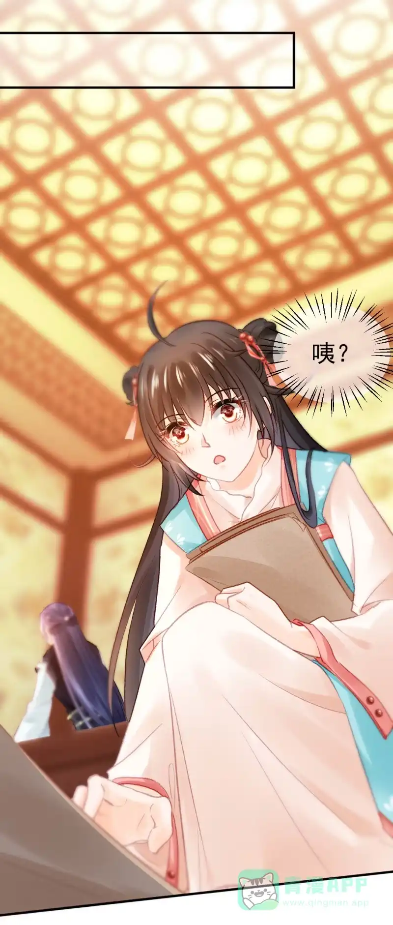 《神探双骄》章照的顶级机密 第11页