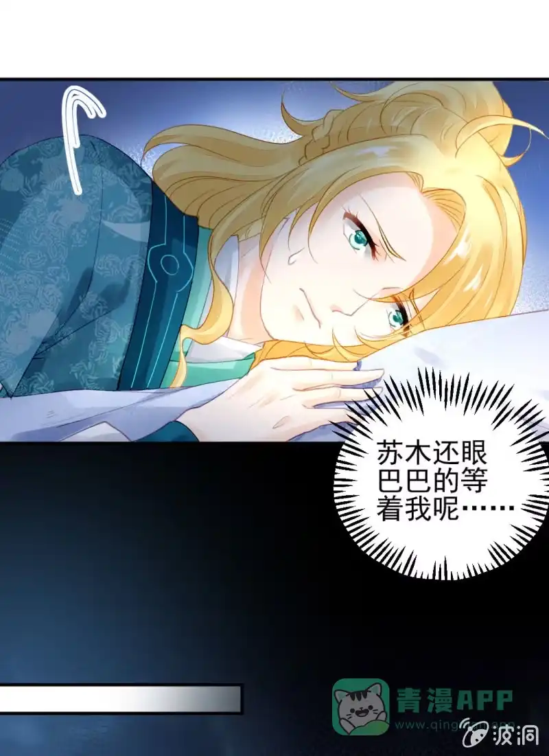 《神探双骄》苏木被抓？ 第41页