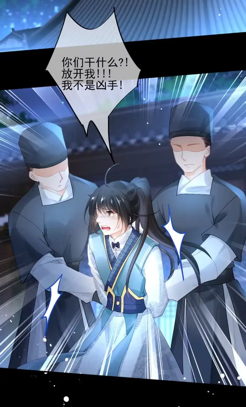 《神探双骄》苏木被抓？ 第43页