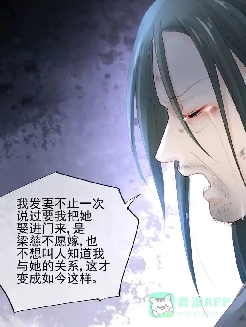 《神探双骄》苏木被抓？ 第31页