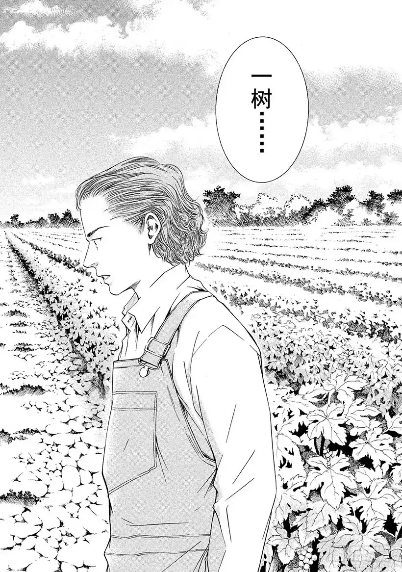 《神之雫（神之水滴）》#105 被满满的爱意所包围 第14页