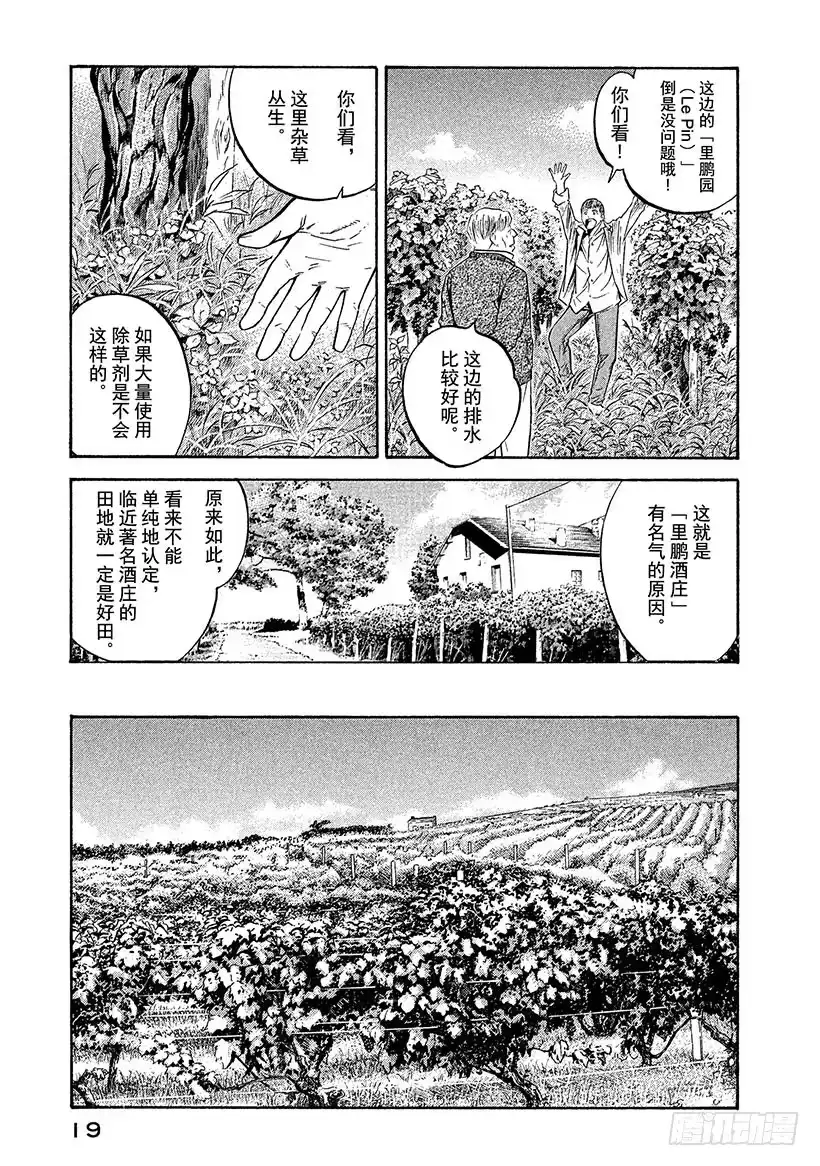 《神之雫（神之水滴）》#200 圣埃米利翁，这不变的美 第20页
