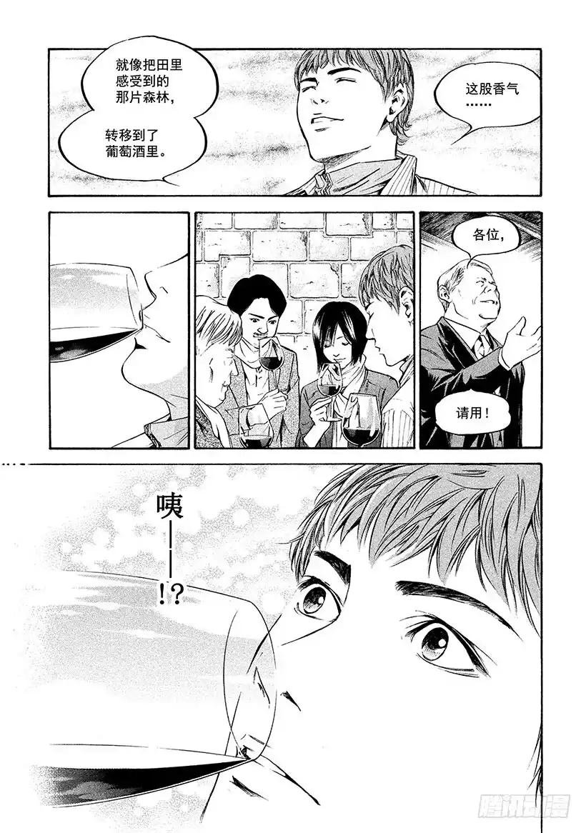 《神之雫（神之水滴）》#203 误入17世纪森林的旅人 第13页