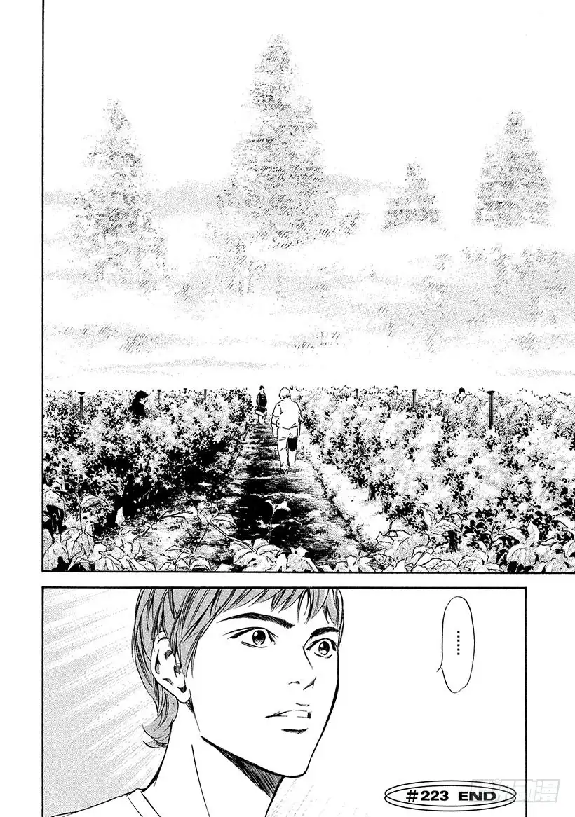 《神之雫（神之水滴）》#223 海市蜃楼中摇曳的树木诉 第20页