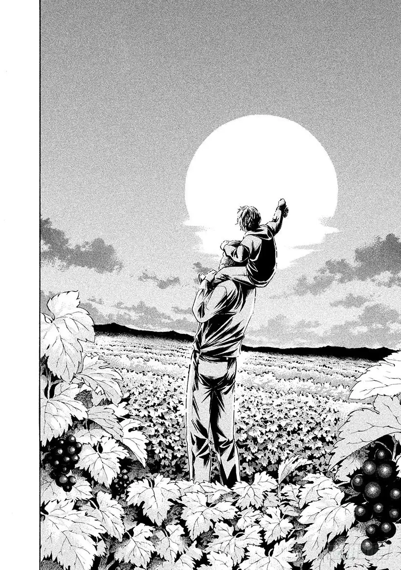 《神之雫（神之水滴）》#231 波亚克的甜美雪葩和令人 第12页