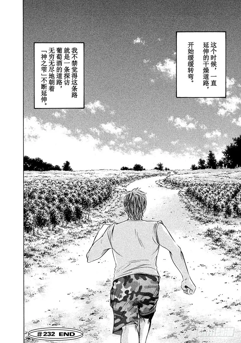 《神之雫（神之水滴）》#232 于朝霭中苏醒的骏马，像 第20页